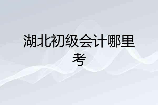 湖北初级会计哪里考