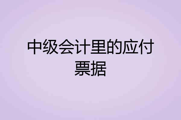 中级会计里的应付票据