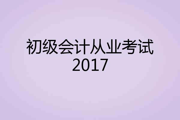 初级会计从业考试2017