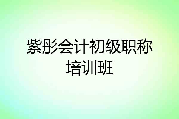 紫彤会计初级职称培训班