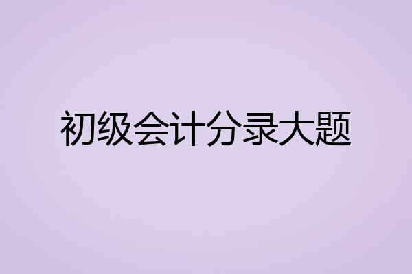初级会计分录大题