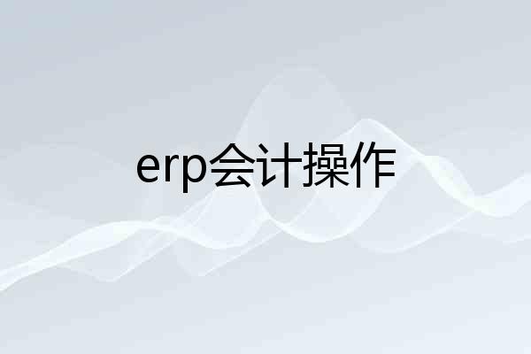 erp会计操作