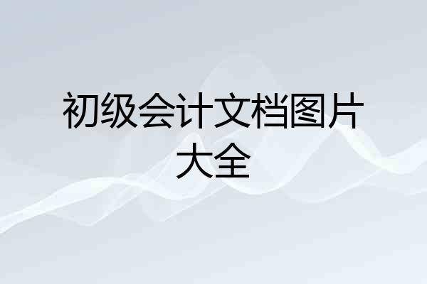 初级会计文档图片大全