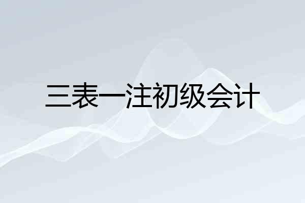 三表一注初级会计