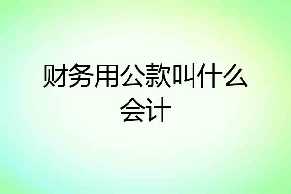 财务用公款叫什么会计