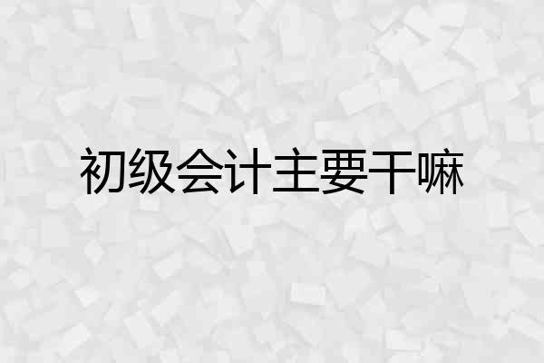 初级会计主要干嘛