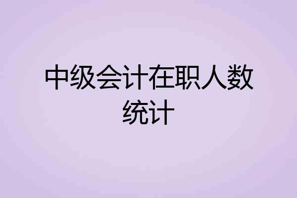 中级会计在职人数统计