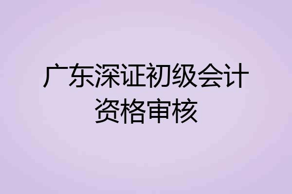 广东深证初级会计资格审核