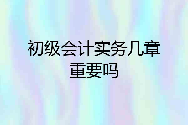 初级会计实务几章重要吗