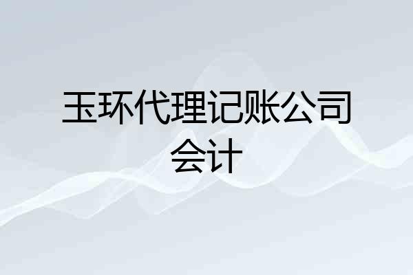 玉环代理记账公司会计