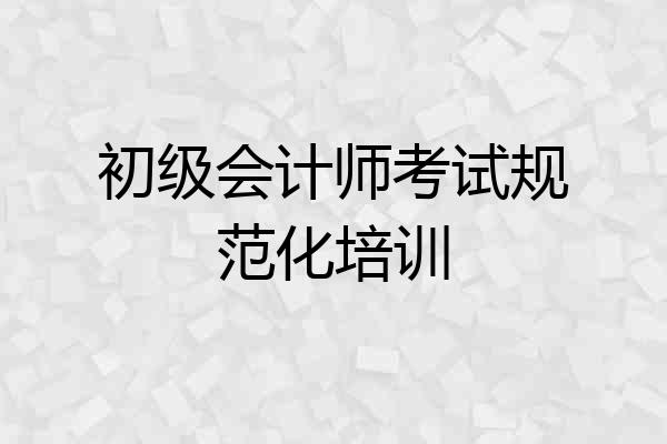 初级会计师考试规范化培训