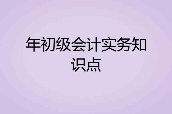 年初级会计实务知识点