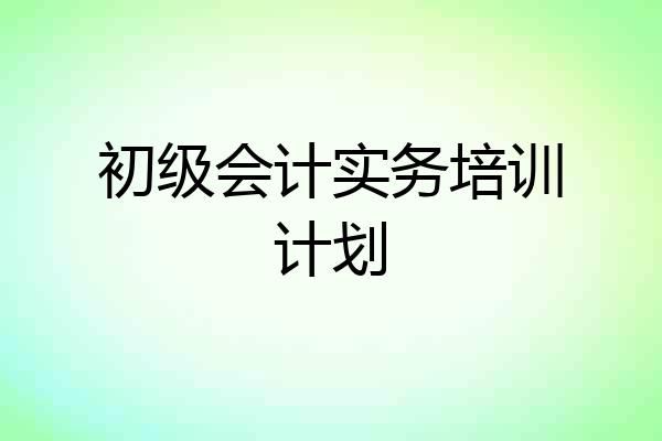 初级会计实务培训计划