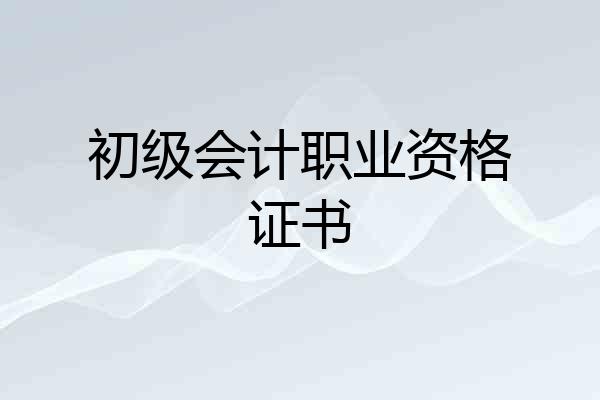 初级会计职业资格证书