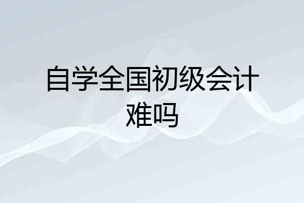 自学全国初级会计难吗