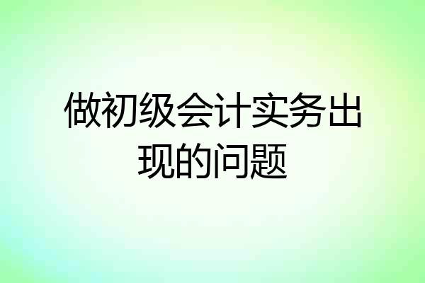 做初级会计实务出现的问题
