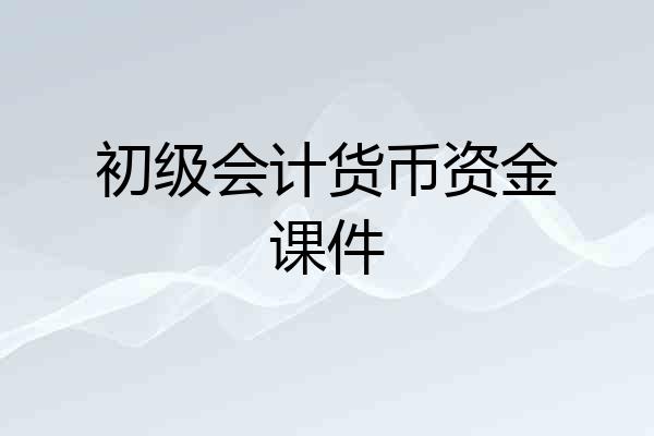 初级会计货币资金课件