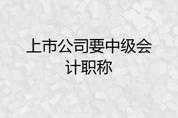 上市公司要中级会计职称