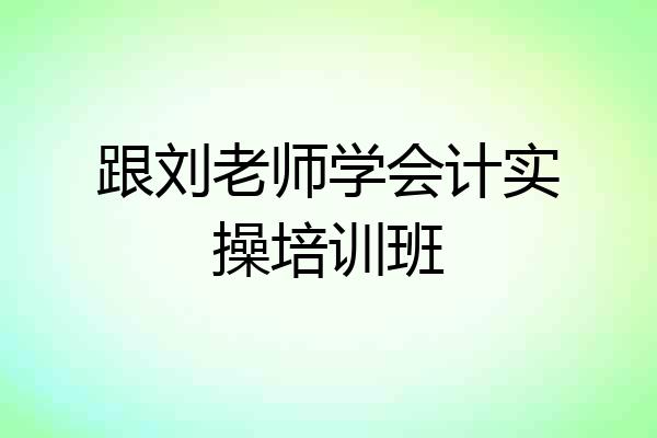 跟刘老师学会计实操培训班