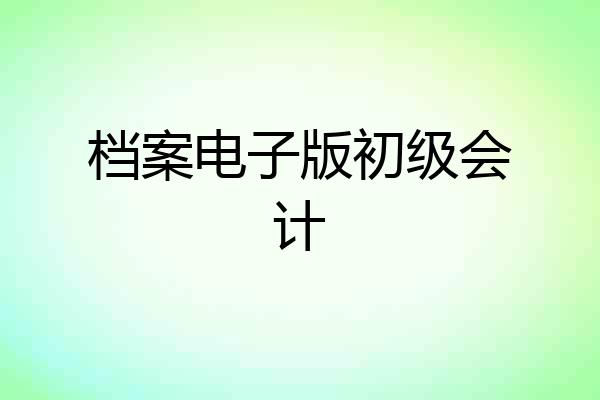 档案电子版初级会计