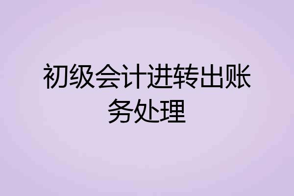 初级会计进转出账务处理