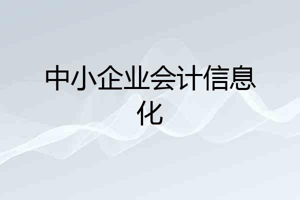 中小企业会计信息化