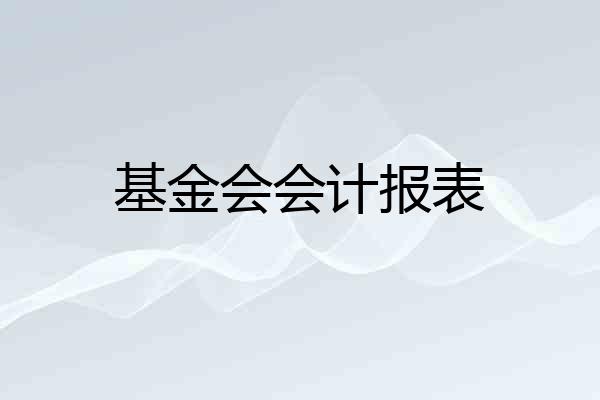 基金会会计报表
