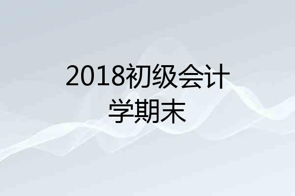 2018初级会计学期末