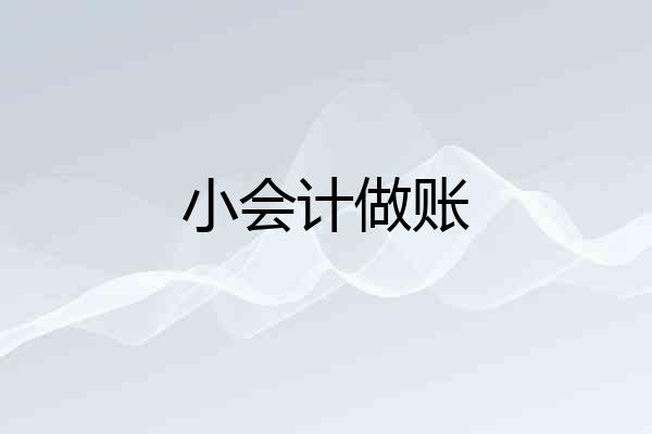 小会计做账