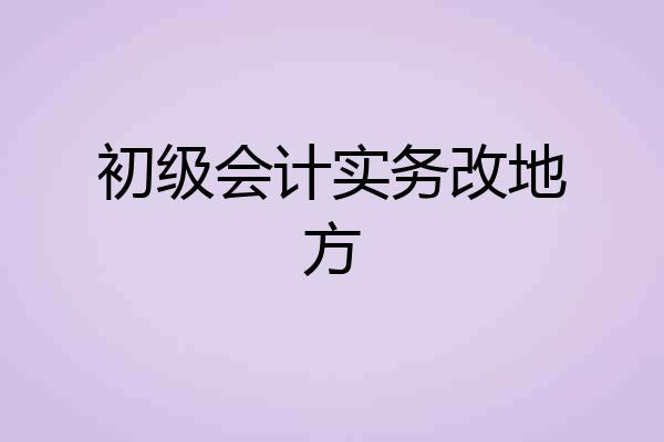 初级会计实务改地方