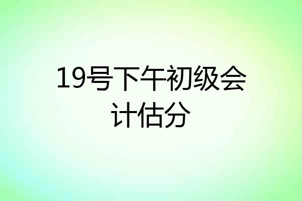 19号下午初级会计估分