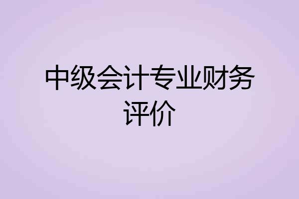 中级会计专业财务评价