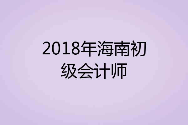 2018年海南初级会计师