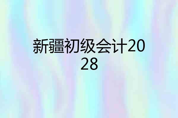 新疆初级会计2028