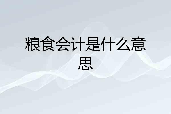 粮食会计是什么意思
