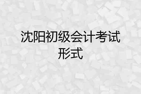 沈阳初级会计考试形式