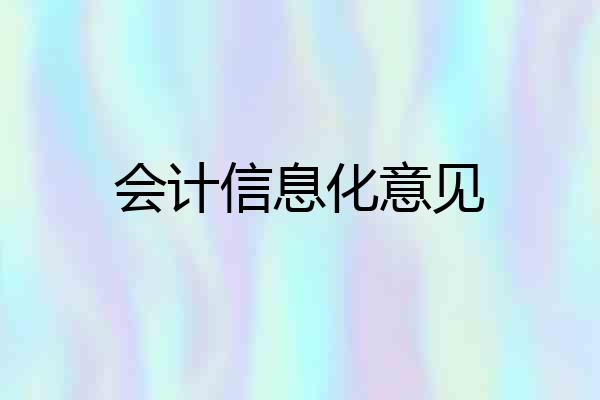 会计信息化意见