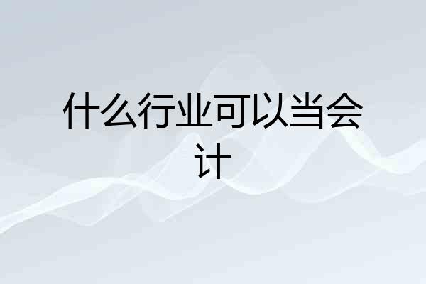 什么行业可以当会计