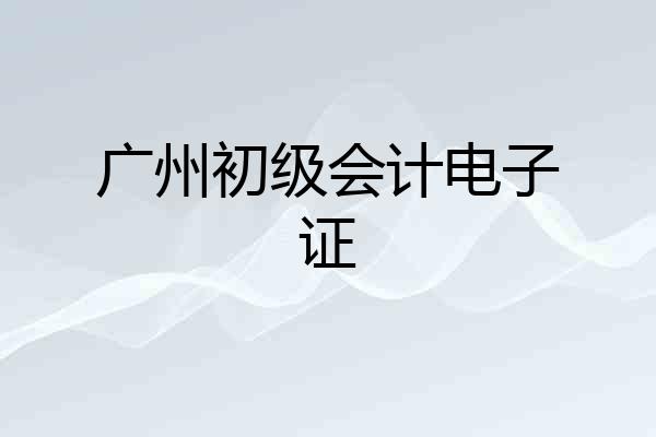 广州初级会计电子证