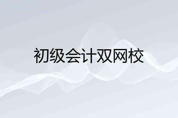 初级会计双网校