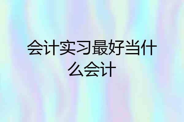 会计实习最好当什么会计