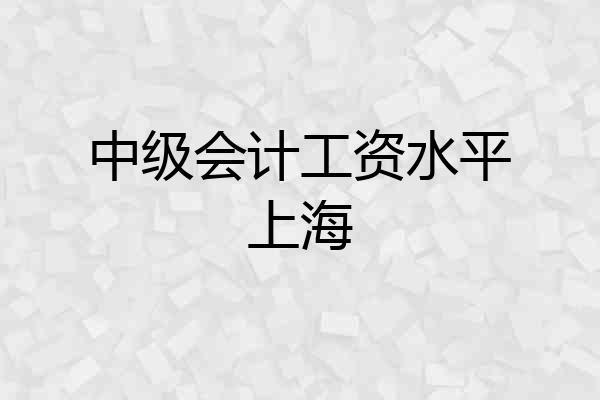 中级会计工资水平上海