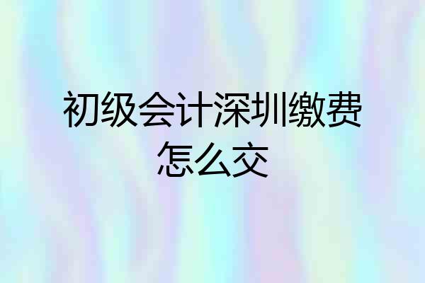 初级会计深圳缴费怎么交