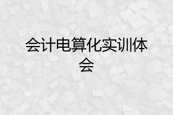 会计电算化实训体会