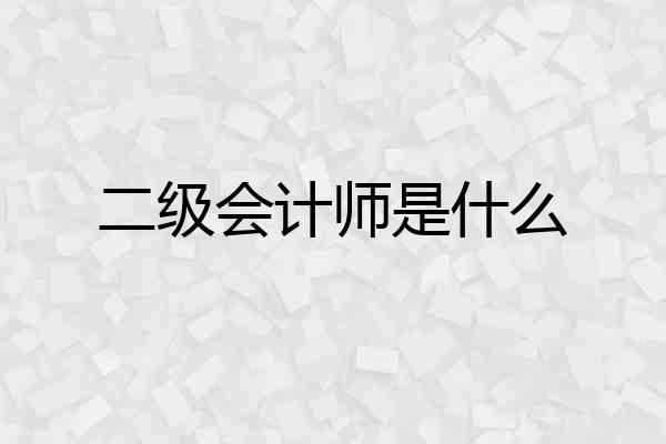 二级会计师是什么