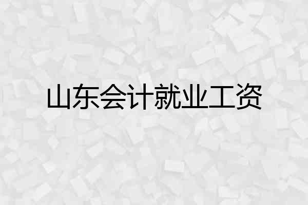 山东会计就业工资