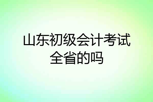 山东初级会计考试全省的吗