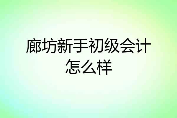 廊坊新手初级会计怎么样