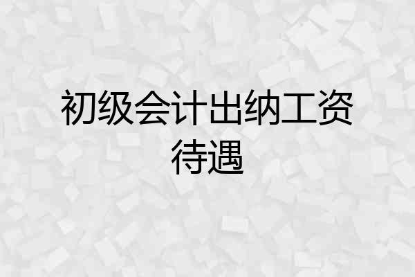 初级会计出纳工资待遇