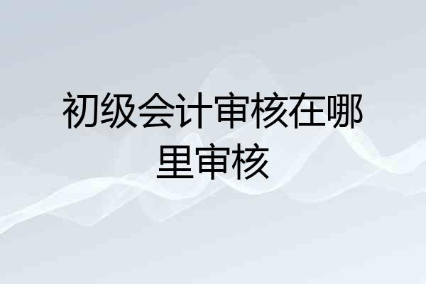 初级会计审核在哪里审核